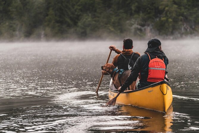Lapland Kayak Adventure in Rovaniemi - When it runs late in summer, the light changes everything