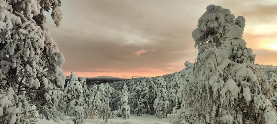 Lapland: Private Snowmobile Safari with arctic Local Guide - Private snowmobile safari in Luosto and Pyhä-Luosto National Park