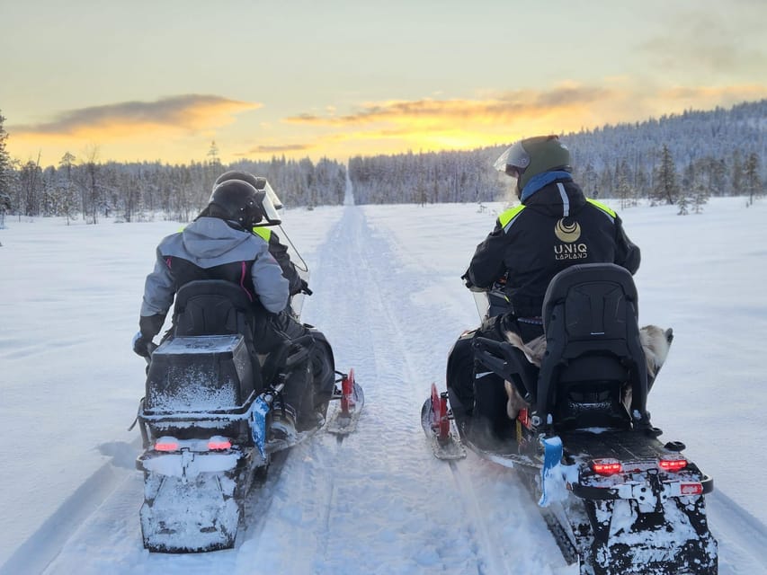 Lapland: Private Snowmobile Safari with arctic Local Guide - Safety, driving license rules, and staying warm with the right expectations