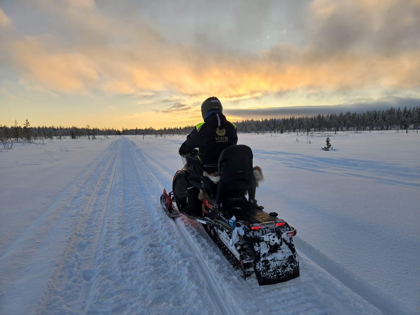 Lapland: Private Snowmobile Safari with arctic Local Guide - Who should book this Luosto private snowmobile ride