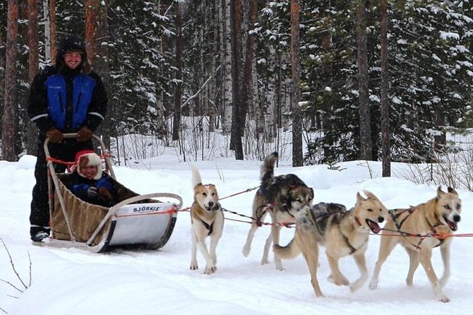 Lapland Reindeer and Husky Safari from Levi - Levi Morning Plan: how this 3.5-hour safari really works