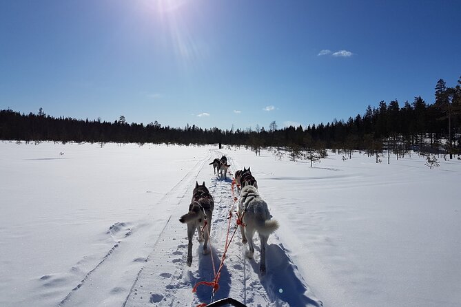 Lapland Reindeer and Husky Safari from Levi - Dress for Arctic Reality: the comfort stuff that decides if you enjoy it