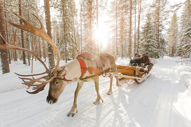 Lapland Reindeer and Husky Safari from Rovaniemi - Key highlights to know before you go