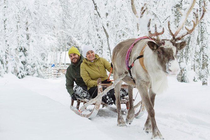 Lapland Reindeer and Husky Safari from Rovaniemi - The reindeer sleigh ride (500m) plus a hot drink