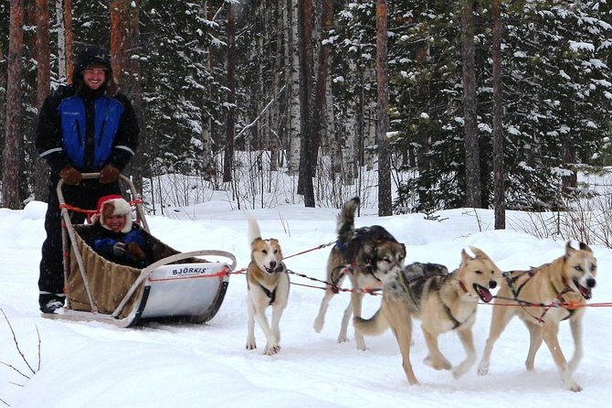 Lapland Reindeer and Husky Safari from Rovaniemi - Husky park: petting time, safety briefing, then the 2km ride