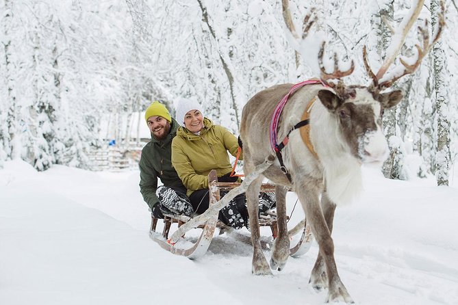 Lapland Reindeer Safari from Rovaniemi - Price and value: where the $179.82 makes sense