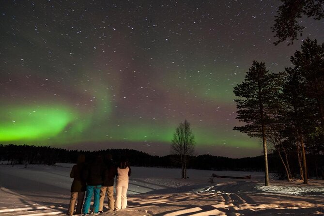 Lapland Reindeer Safari From Saariselkä - Key moments you will really remember
