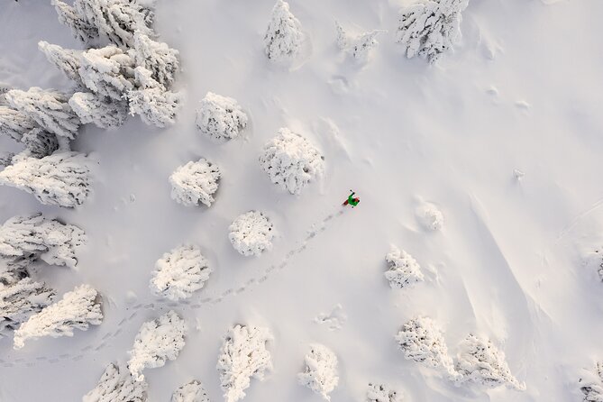 Lapland Winter Experience - Entering the Arctic by Snowshoe, Not by Tour Bus