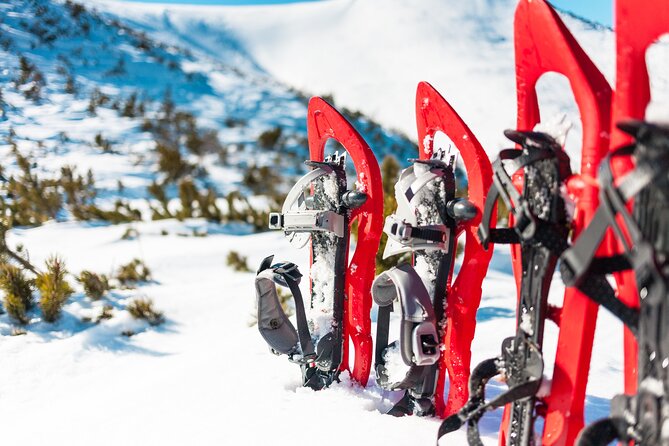 Lapland Winter Experience - The snowshoe hike route: what your time on the trail feels like