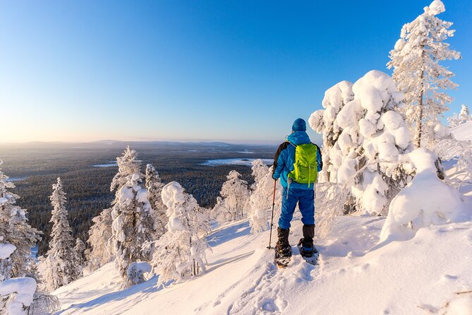 Lapland Winter Experience - Guides in English, and what their survival lessons actually do