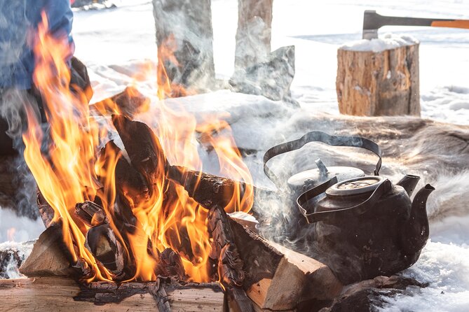 Lapland Winter Experience - Who should book, and who might want a different plan