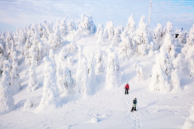 Lapland Winter Experience - Should you book Lapland Winter Experience in Rovaniemi?