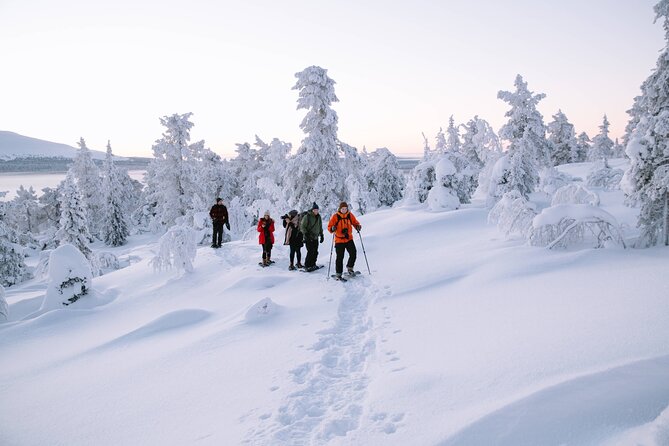 Lapland Winter Experience - The 3-hour schedule, pickup windows, and when you’ll actually start