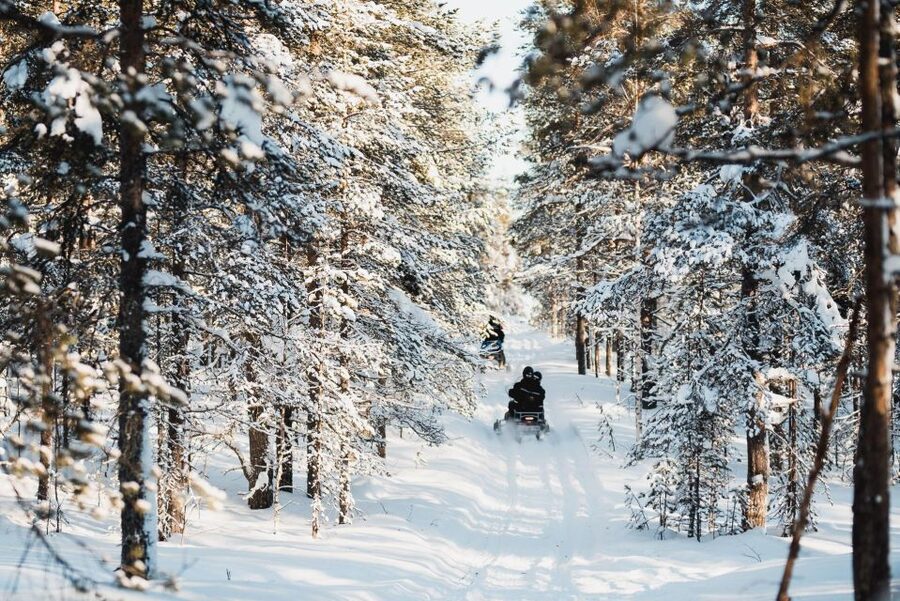 Levi: 3 Hour Snowmobile Safari Around Levi with Coffee Break - Key Things to Know Before You Go
