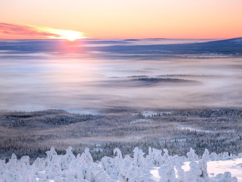 Levi: 4 Hour Snowmobile Safari to the Fells in Levi - FAQ