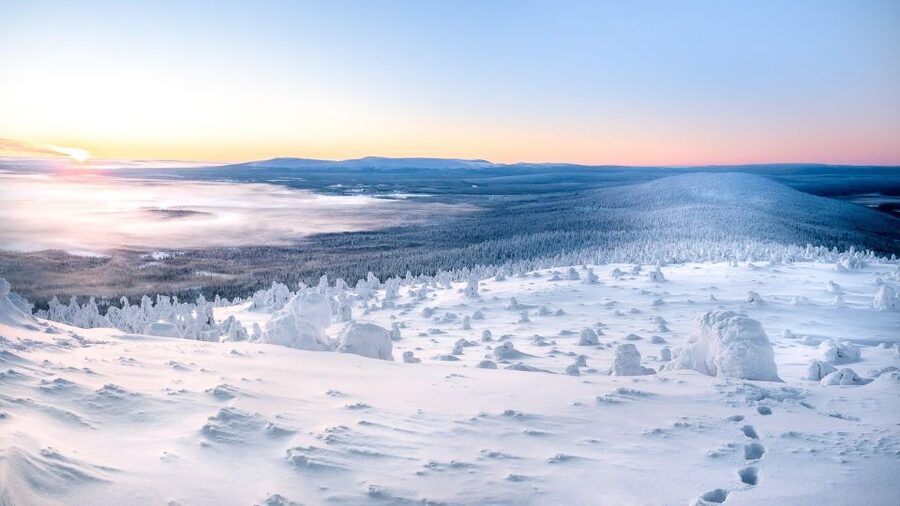 Levi: 4 Hour Snowmobile Safari to the Fells in Levi - Should you book the 4-hour fells safari to Levi?