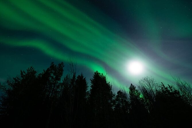 Levi: Aurora Borealis Tour and Stargazing Experience - Cancellation and weather: what to do with uncertainty