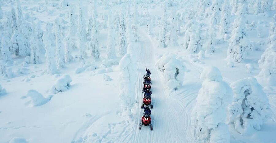 Levi: Easy Snowmobile Safari into the Nature - Should you book this Levi easy snowmobile safari?
