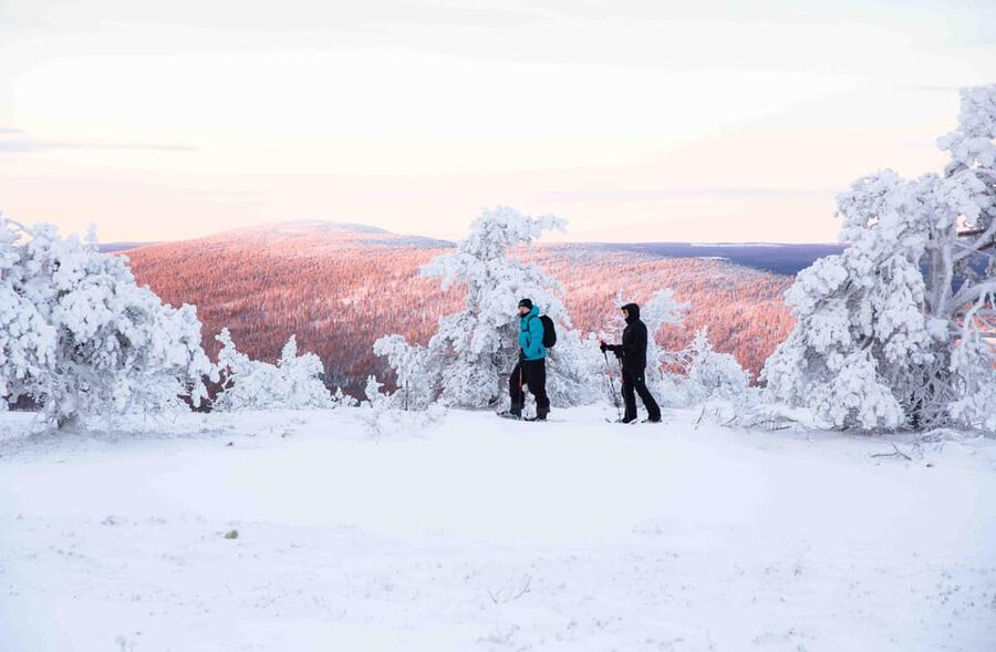 Levi: Guided Snowshoeing Adventure - Two Hours of Quiet Lapland Snowshoeing You Can Actually Enjoy