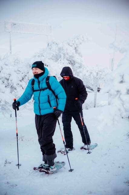 Levi: Guided Snowshoeing Adventure - What the Snowshoe Walk Feels Like: Tailored Pace, Wildlife Stories, and Photo Stops