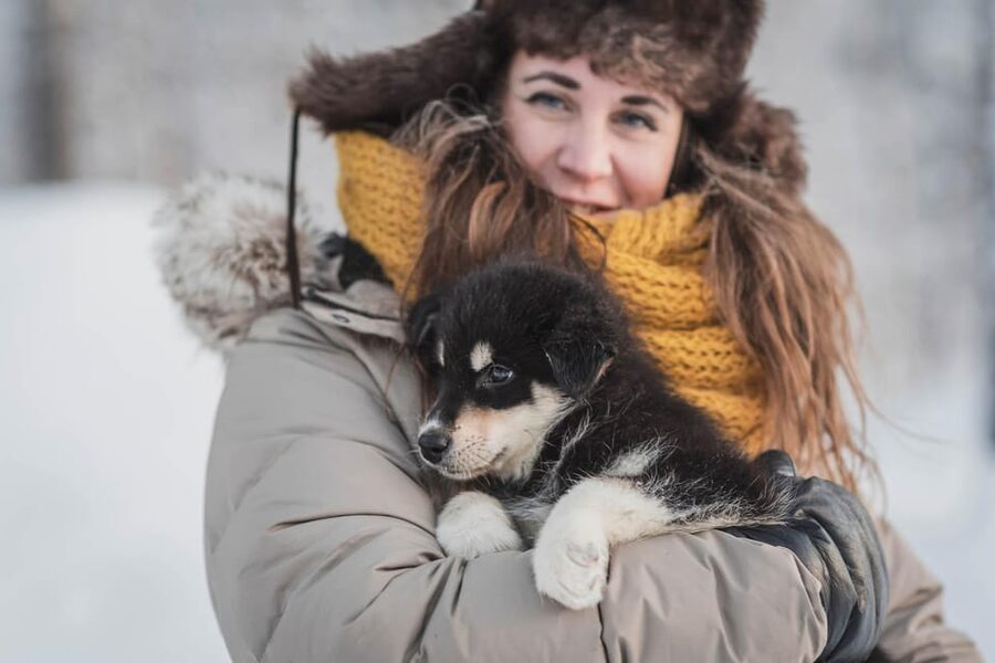 Levi: Horse and Husky Farm Visit with Juice and Cookies - Key moments you will care about