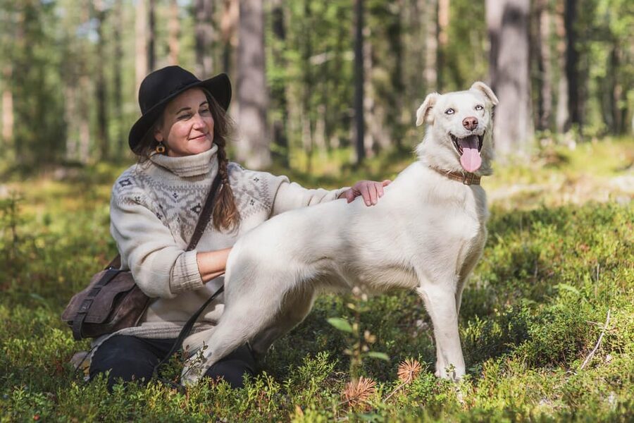 Levi: Horse and Husky Farm Visit with Juice and Cookies - Where the visit happens, and why it feels very Lapland