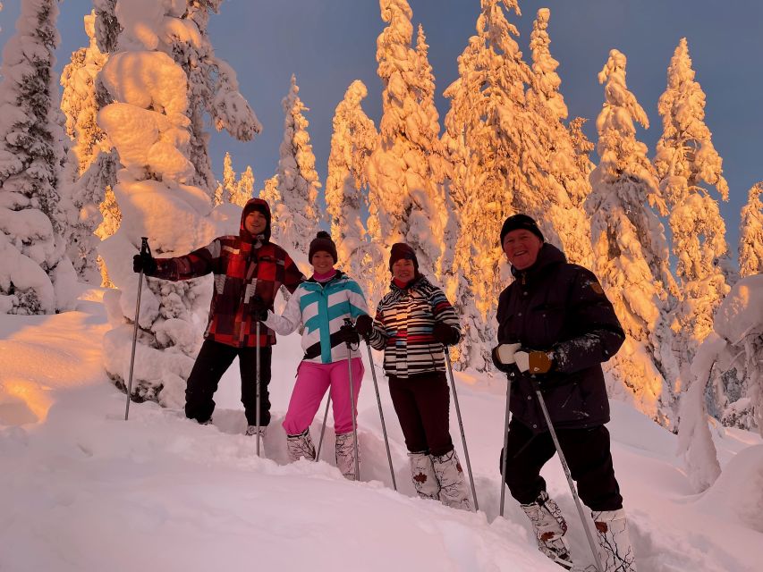 Levi: Lakeside forest snowshoeing - Key things to know before you go