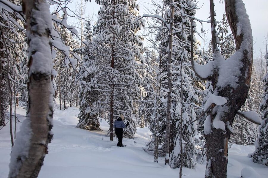 Levi: Lakeside forest snowshoeing - The Van Ride to Sirkka, Then Into the Snow-Quiet Part of Levi