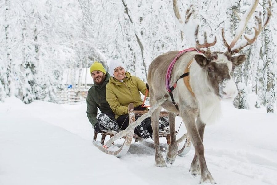 Levi: Lapland Reindeer and Husky Safari - Key things that make this safari worth your time