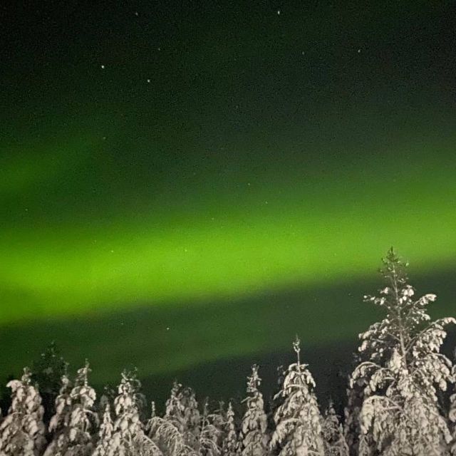 Levi: Northern Lights Hunt Including Campfire Snacks - The Northern Lights hunt: what to expect when you stare up into darkness