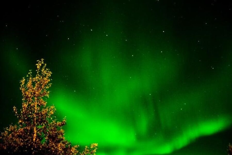 Levi: Northern Lights Hunt Including Campfire Snacks - Should you book Levi Northern Lights Hunt with campfire snacks?