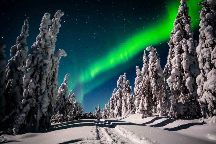 Levi: Northern Lights Hunting - Photography Tour - The Night Plan, Stop by Stop: Photo Walk, Camp Time, Then the Run