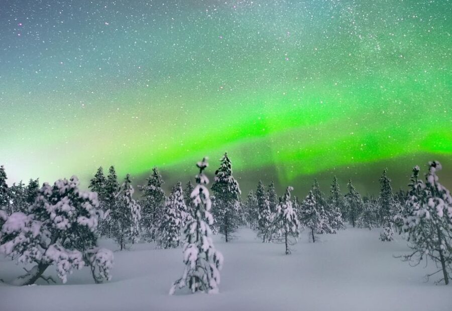 Levi: Northern Lights Snowmobile Tour with Snacks and Drinks - Campfire snacks and hot juice: good, but set expectations