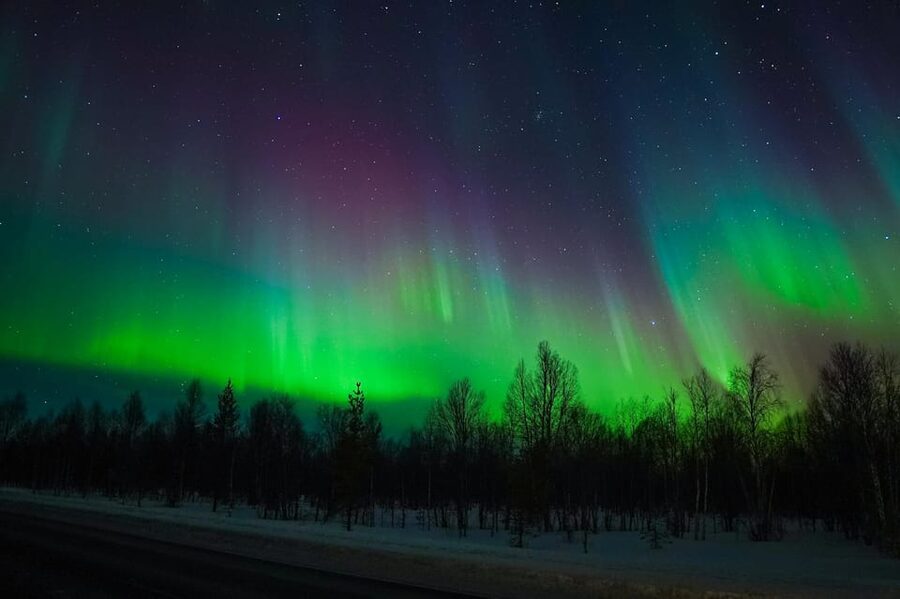 Levi: Northern Lights Tour with Guaranteed Sightings - Who should book this Northern Lights guaranteed tour