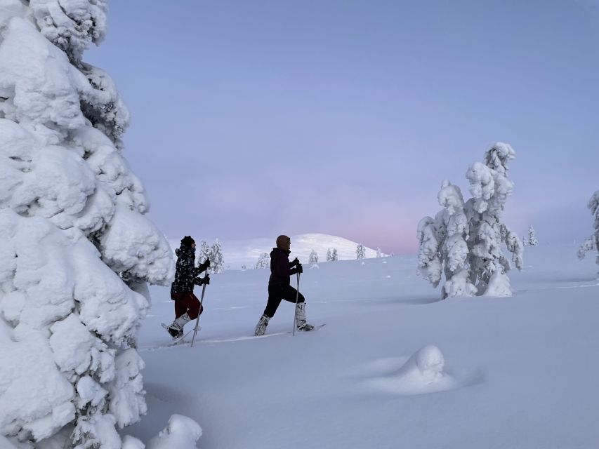 Levi: Pallas-Yllästunturi National Park Snowshoeing Tour - Stop 1 to stop 3: first snowshoe stretch through tundra and treeless hills