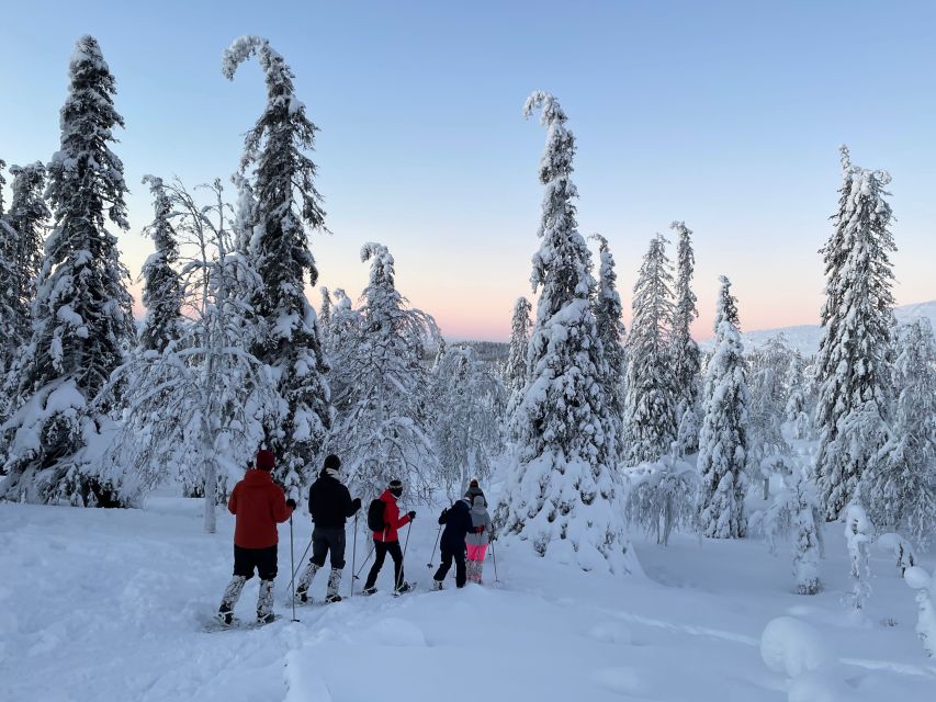 Levi: Pallas-Yllästunturi National Park Snowshoeing Tour - Second snowshoeing stretch: quieter forest walking for an easy win