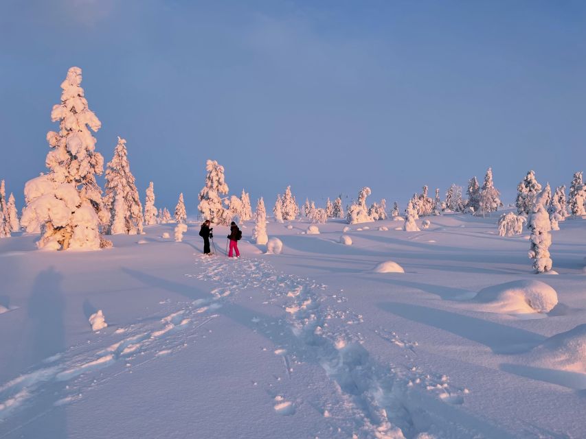 Levi: Pallas-Yllästunturi National Park Snowshoeing Tour - Price and value: is $187 worth it?