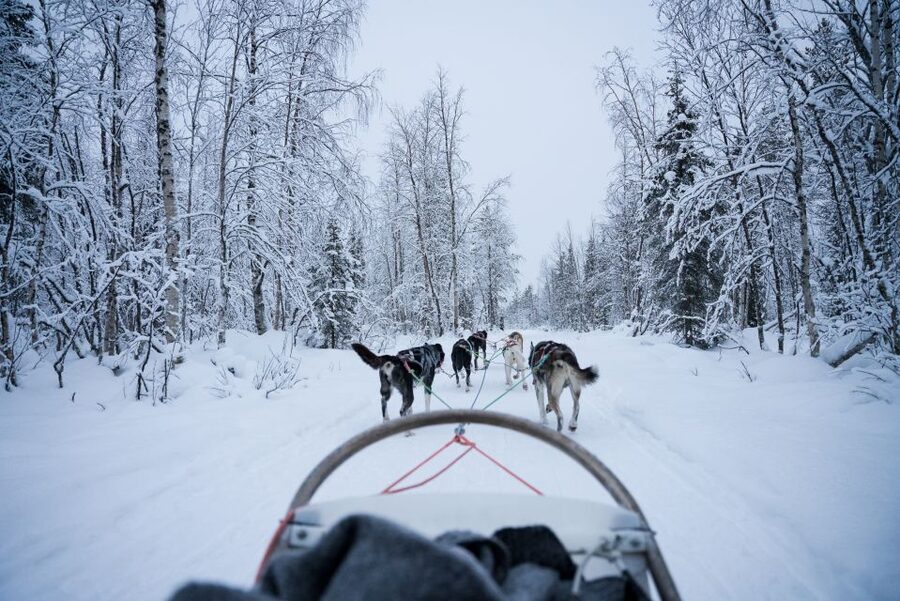 Levi Polar Lights Tours: Arctic Circle Guided Husky Tour - Weather, what to wear, and when to go