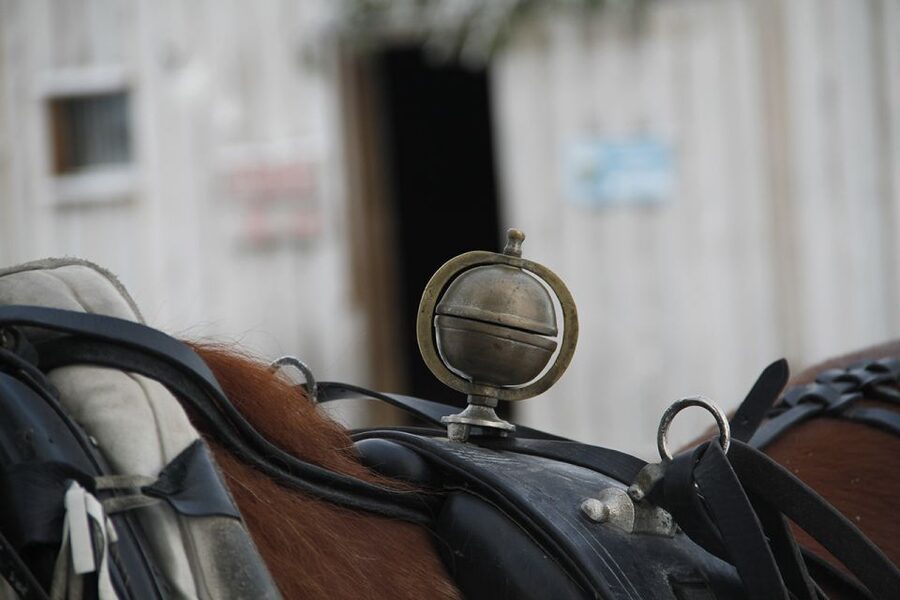 Levi, Polar Lights Tours: One Horse Open Sleigh Ride - Entering Levi’s winter night, one jingle bell at a time