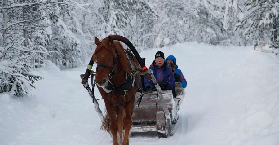 Levi, Polar Lights Tours: One Horse Open Sleigh Ride - Northern lights expectations, without the stress
