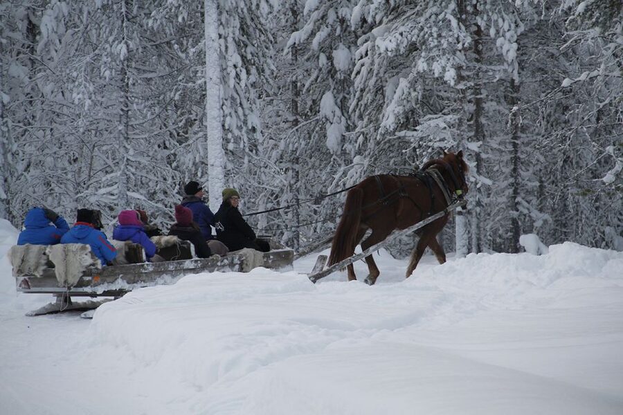 Levi, Polar Lights Tours: One Horse Open Sleigh Ride - Price and value: what $79 actually buys you