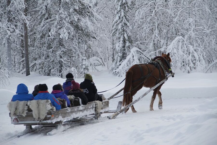 Levi, Polar Lights Tours: One Horse Open Sleigh Ride - The full hour, broken down step by step from Hissitie 11