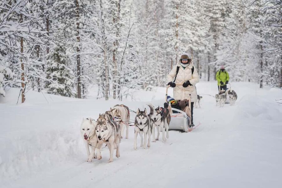 Levi Polar Lights Tours: Path of the Gnome Husky Safari 15km - Key Things to Know Before You Go