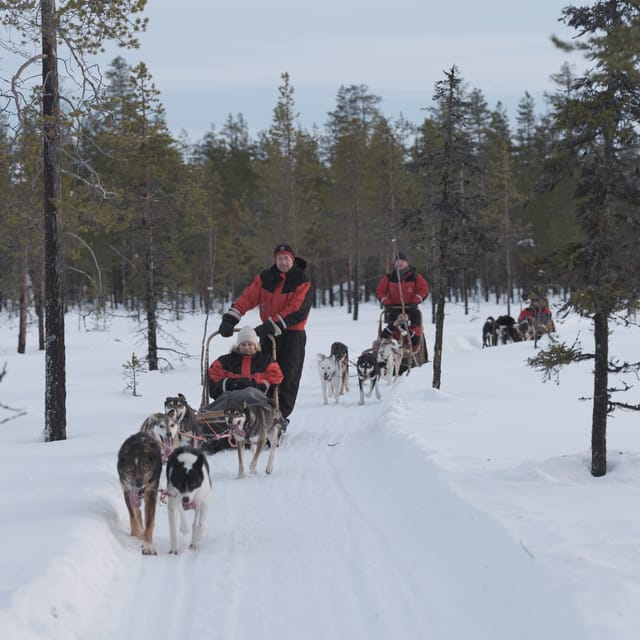 Levi Polar Lights Tours: Path of the Gnome Husky Safari 15km - Getting to Hissitie 11, the Levi Pickup, and the Farm Day
