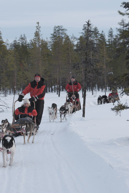 Levi Polar Lights Tours: Path of the Gnome Husky Safari 15km - The 15 to 18 km Husky Safari: What the Ride Feels Like