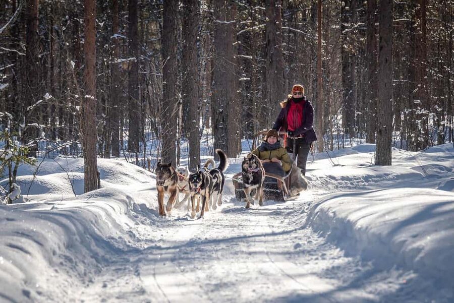 Levi Polar Lights Tours: Reindeer and Husky Taster - Finding the meeting point at Levi Center Hissitie 11, and how the bus timing feels
