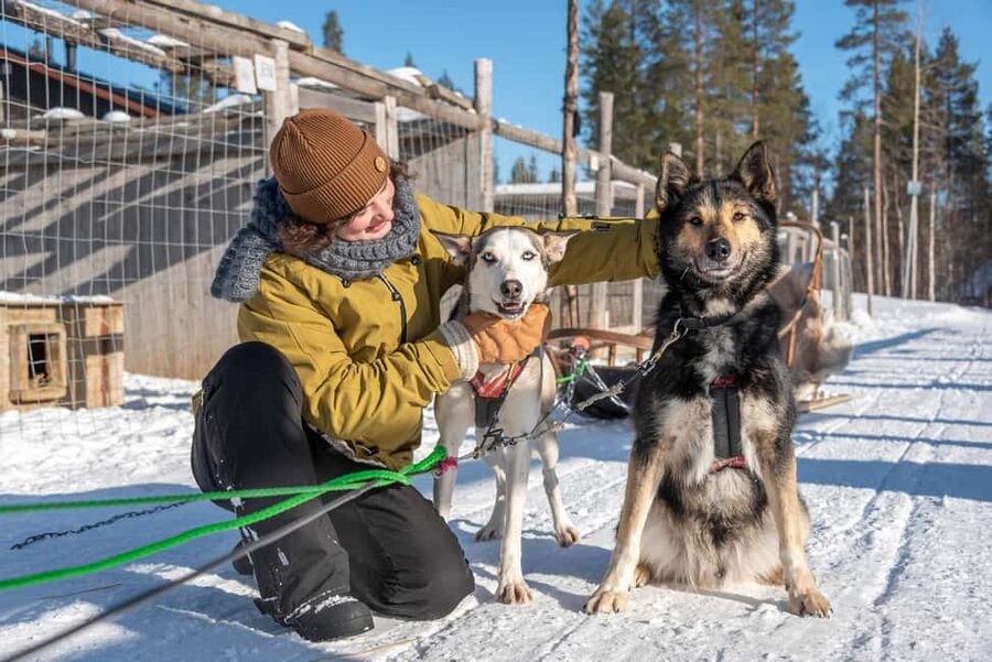 Levi Polar Lights Tours: Reindeer and Husky Taster - The Polar Lights Tours Oy portion: guided time, a photo stop, and local snacks