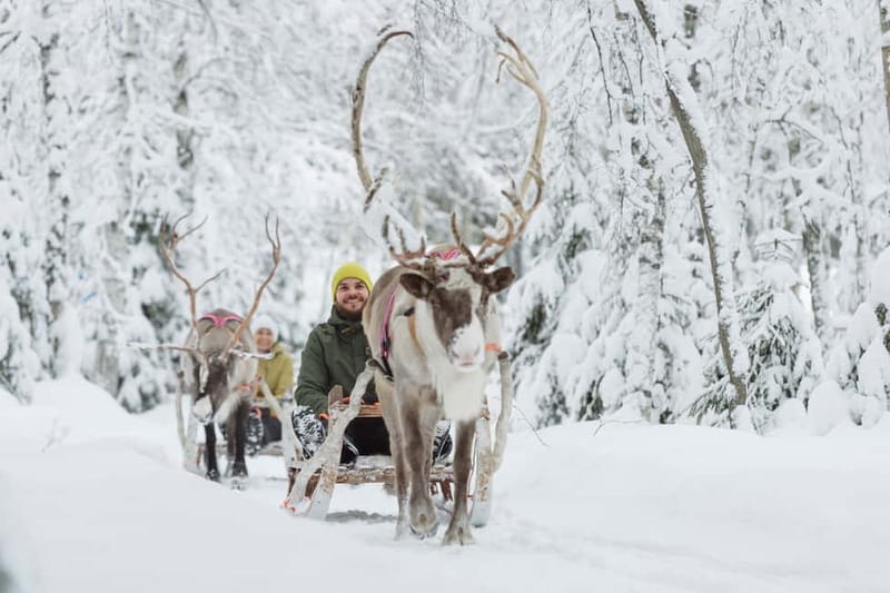 Levi: Reindeer Experience with Sled Ride - Getting From Sirkka to Levi: Short Transfer, Big Timing Payoff