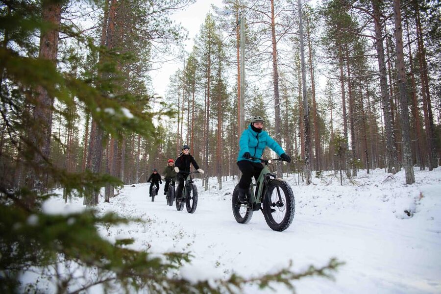 Levi: Reindeer Farm E-Fatbike Safari - Riding the Snowy Fells: What the E-Fatbike Experience Really Means
