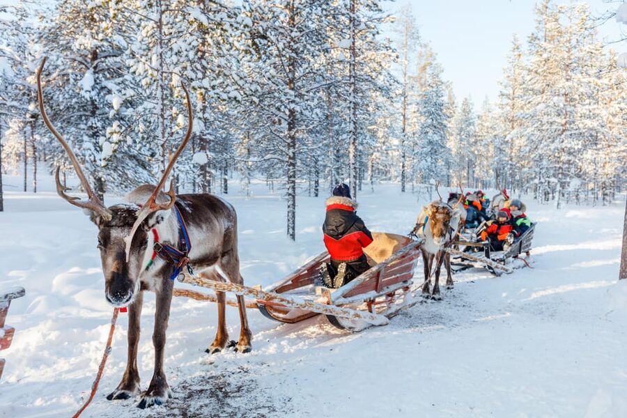 Levi: Reindeer Sleigh Ride Tour in Snowy Forest - FAQ